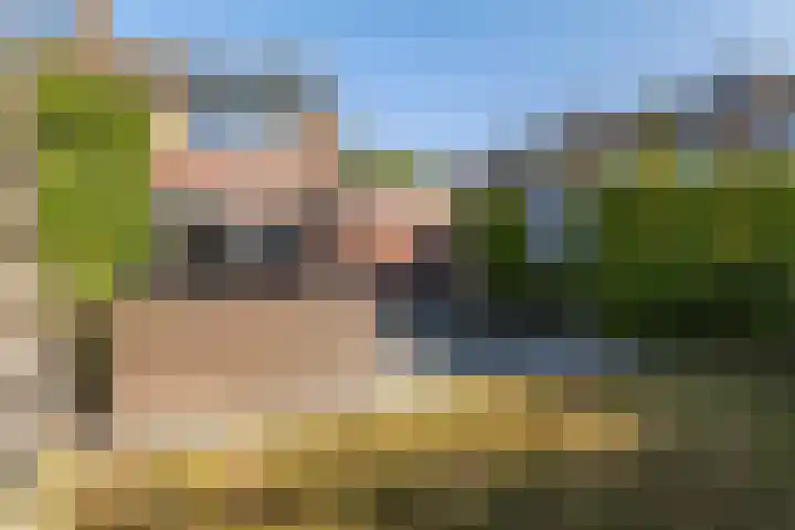 It Apelhôf 10 Hallum thumbnail 35