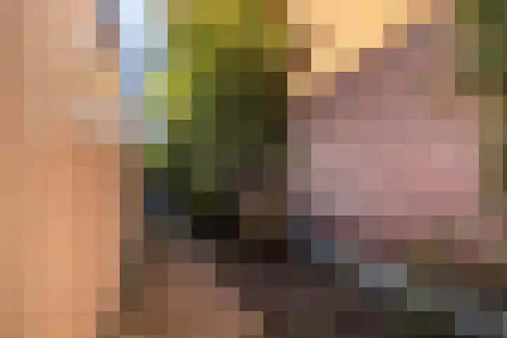 It Apelhôf 10 Hallum thumbnail 36