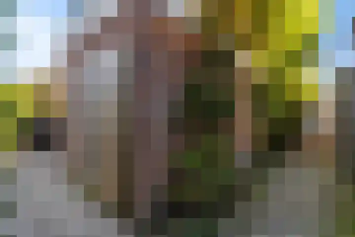 It Apelhôf 10 Hallum thumbnail 37