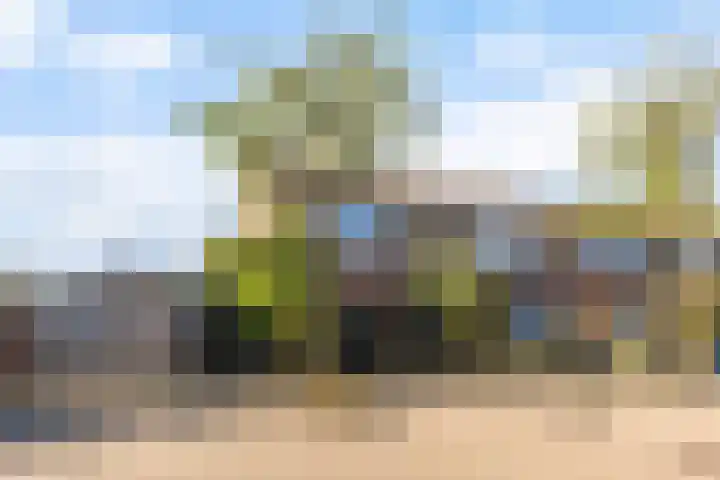 It Apelhôf 10 Hallum thumbnail 38