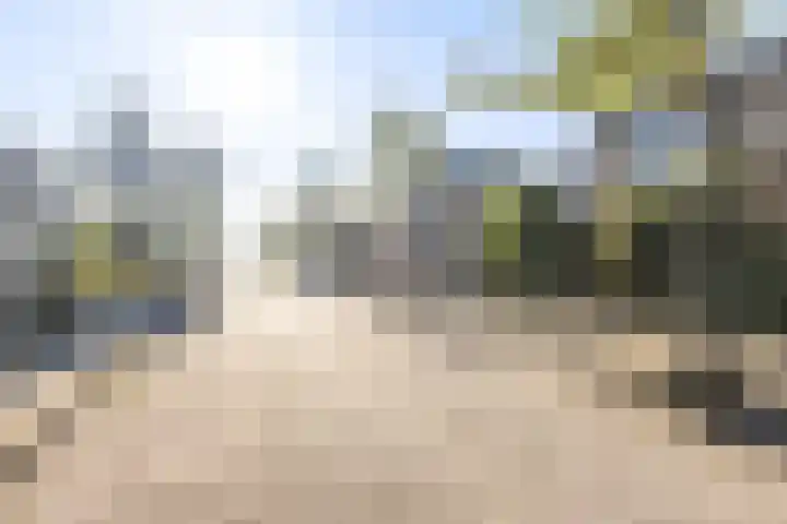 It Apelhôf 10 Hallum thumbnail 39