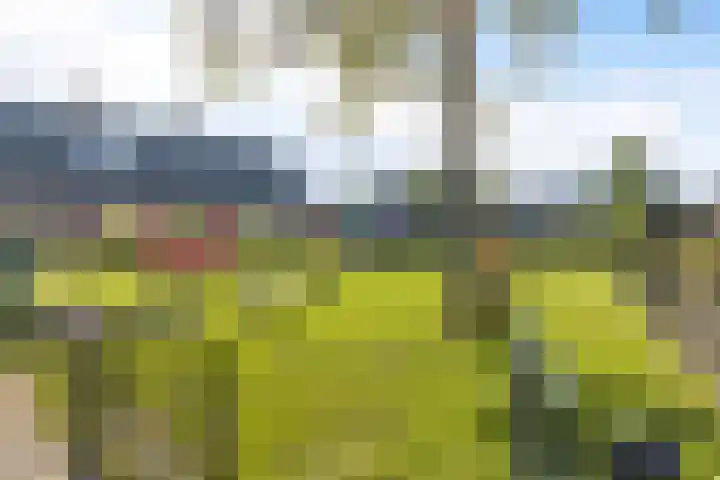 It Apelhôf 10 Hallum thumbnail 40