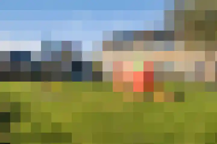 It Apelhôf 10 Hallum thumbnail 41