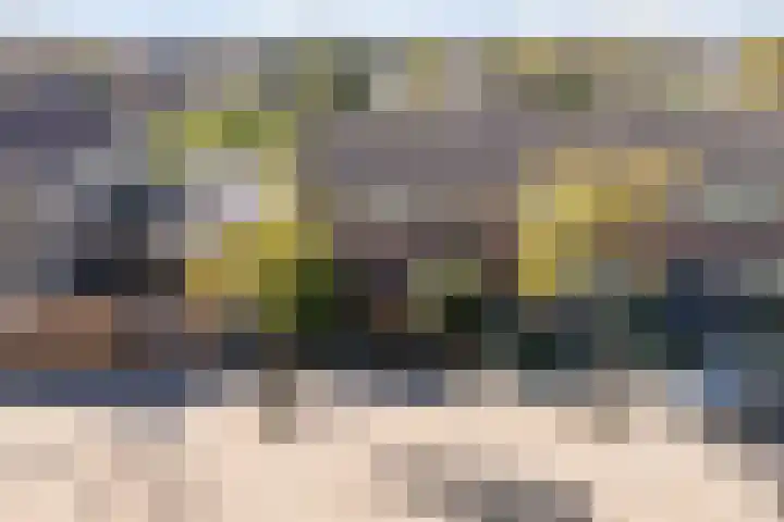 It Apelhôf 10 Hallum thumbnail 42