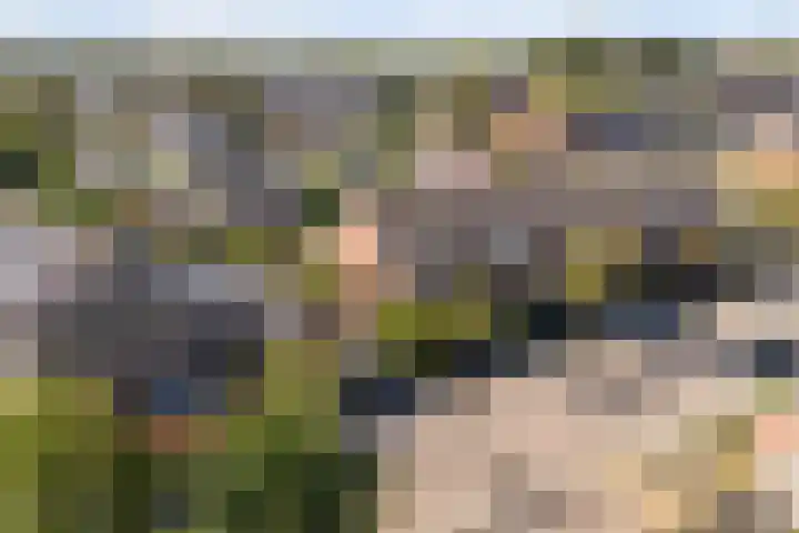 It Apelhôf 10 Hallum thumbnail 43