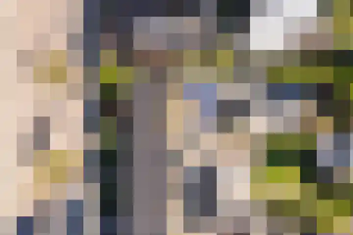 It Apelhôf 10 Hallum thumbnail 46