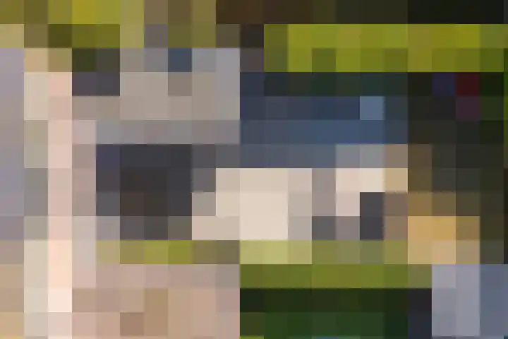 It Apelhôf 10 Hallum thumbnail 47