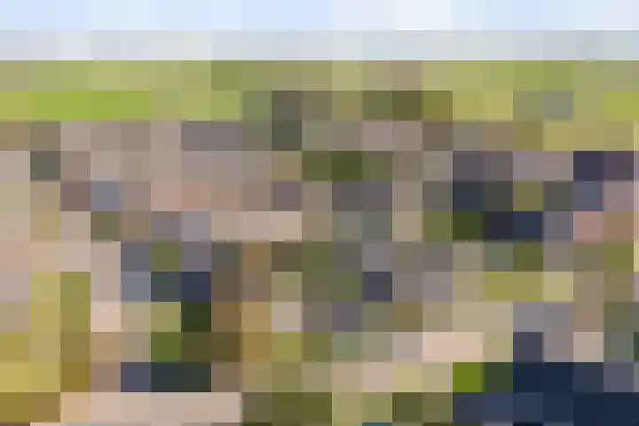 It Apelhôf 10 Hallum thumbnail 48