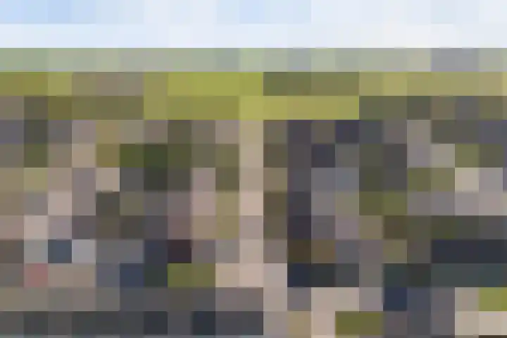 It Apelhôf 10 Hallum thumbnail 49