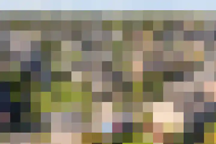 It Apelhôf 10 Hallum thumbnail 50