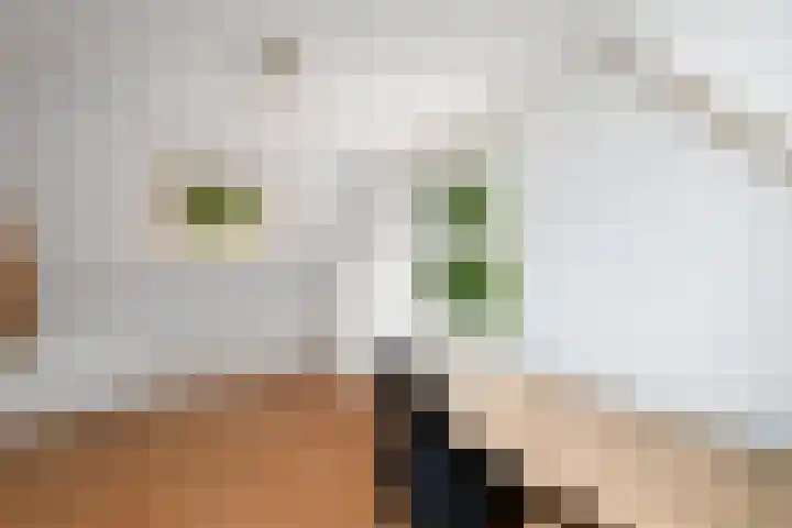 It Beaken 27 Joure thumbnail 16