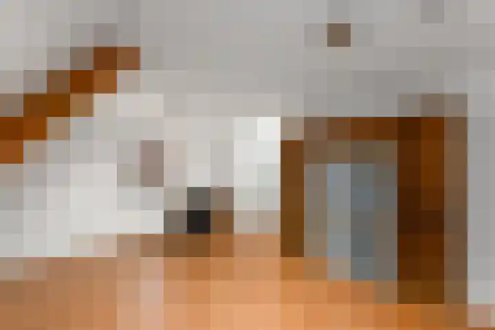 It Beaken 27 Joure thumbnail 22