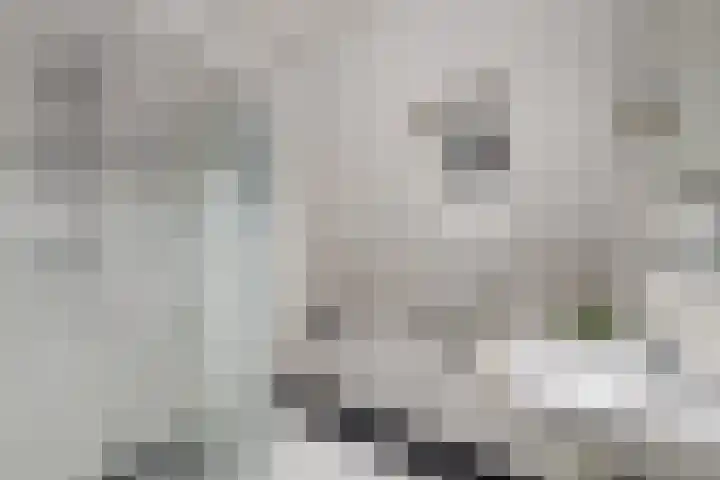 It Beaken 27 Joure thumbnail 27