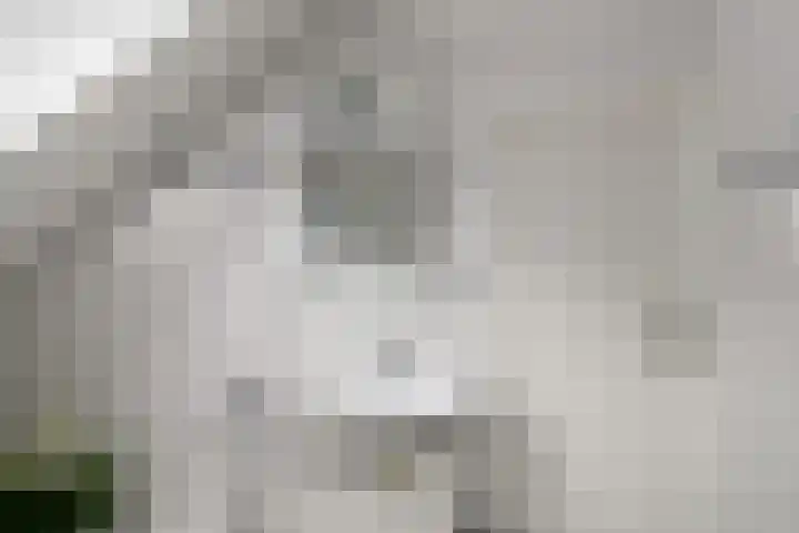 It Beaken 27 Joure thumbnail 28