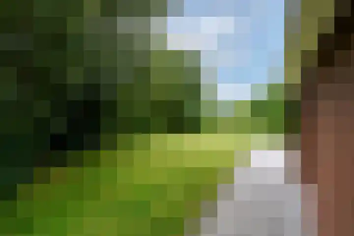 It Beaken 27 Joure thumbnail 33