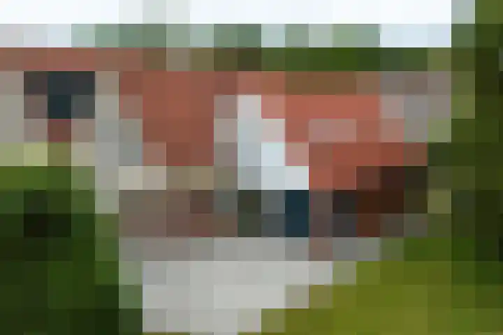 It Beaken 27 Joure thumbnail 35
