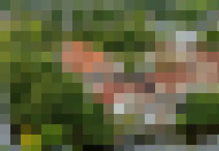 It Beaken 27 Joure thumbnail 38