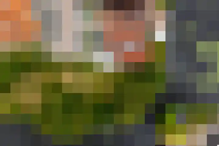 It Beaken 27 Joure thumbnail 5