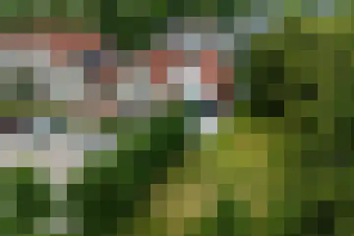 It Beaken 27 Joure thumbnail 50