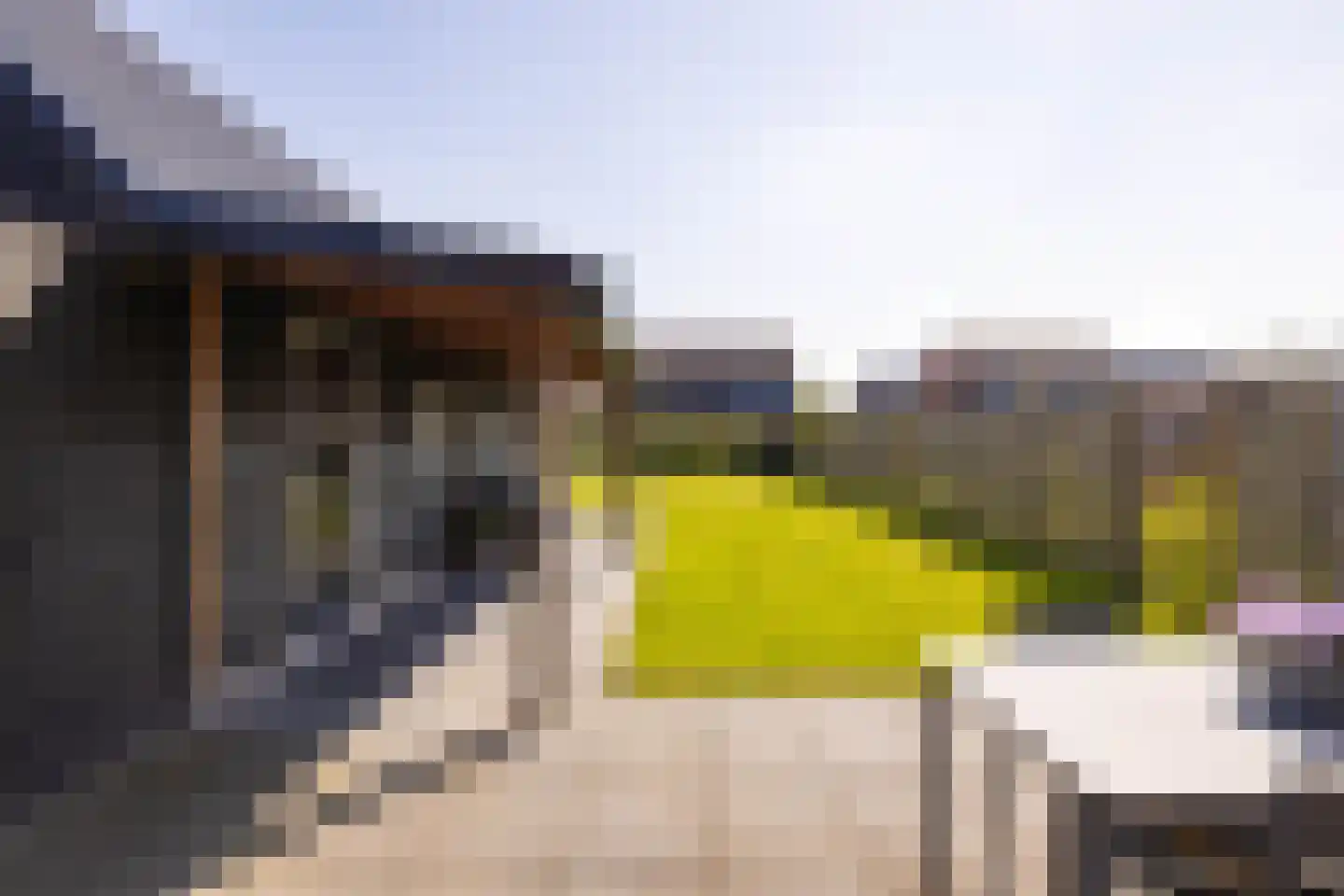 It Binnenpaad 8 Minnertsga thumbnail 35
