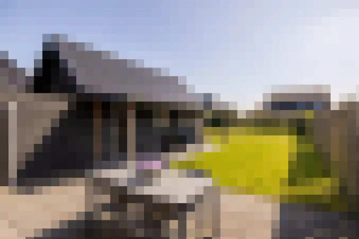 It Binnenpaad 8 Minnertsga thumbnail 4