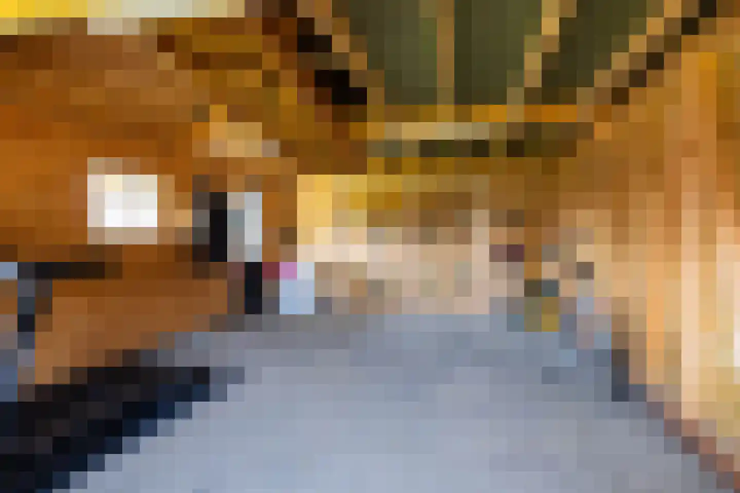 It Binnenpaad 8 Minnertsga thumbnail 43