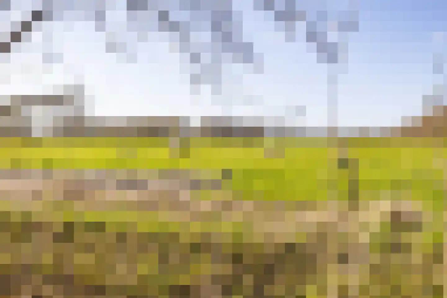 It Binnenpaad 8 Minnertsga thumbnail 44