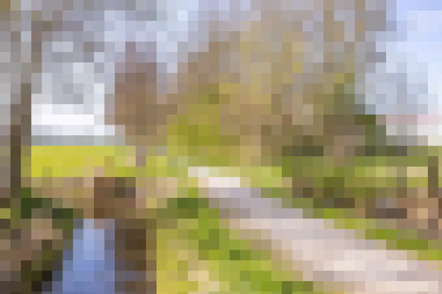 It Binnenpaad 8 Minnertsga thumbnail 45