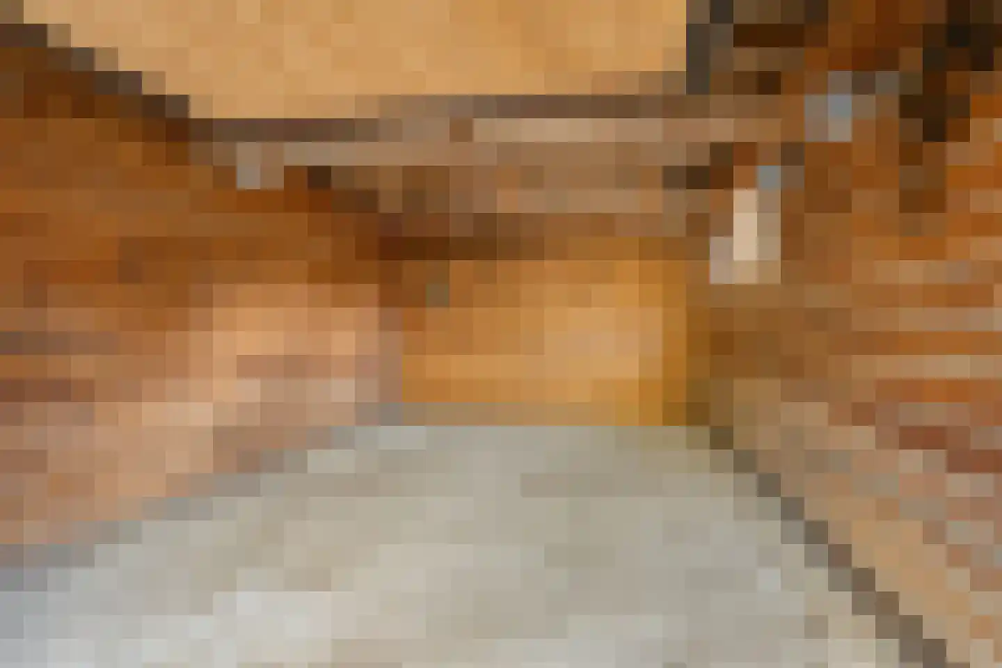 It Bjirkenbosk 5 Balk thumbnail 17