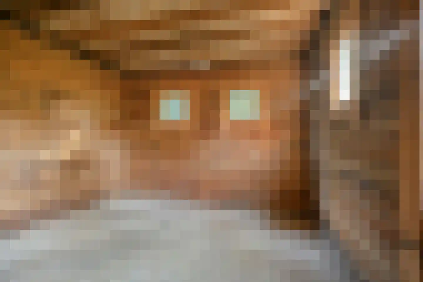 It Bjirkenbosk 5 Balk thumbnail 18