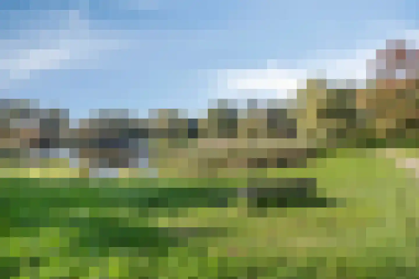 It Bjirkenbosk 5 Balk thumbnail 22
