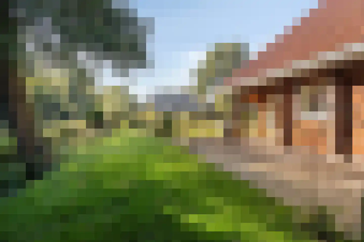 It Bjirkenbosk 5 Balk thumbnail 35