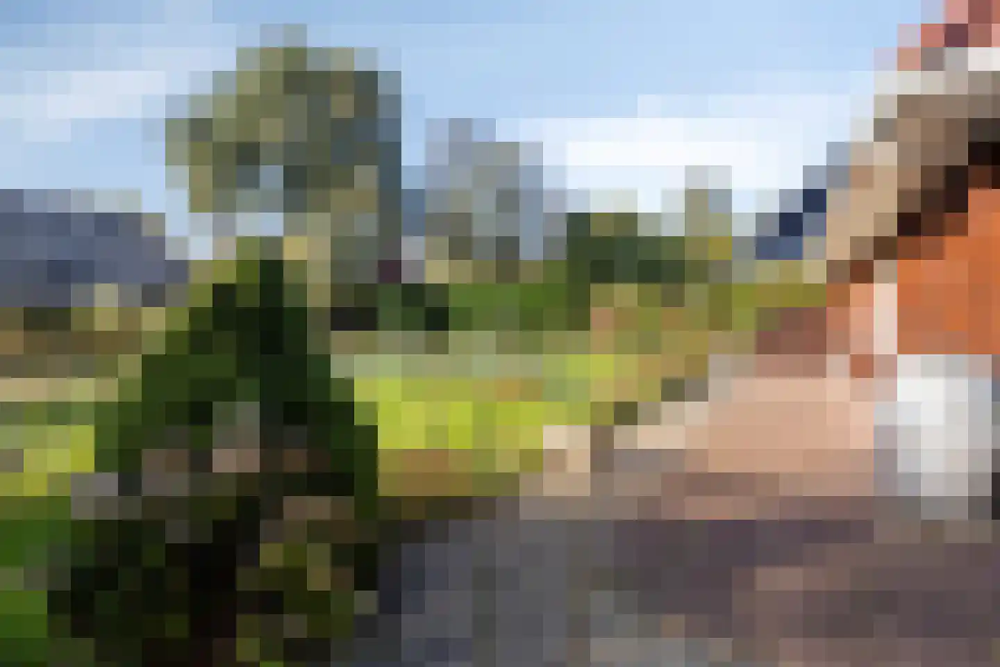 It Bjirkenbosk 5 Balk thumbnail 36