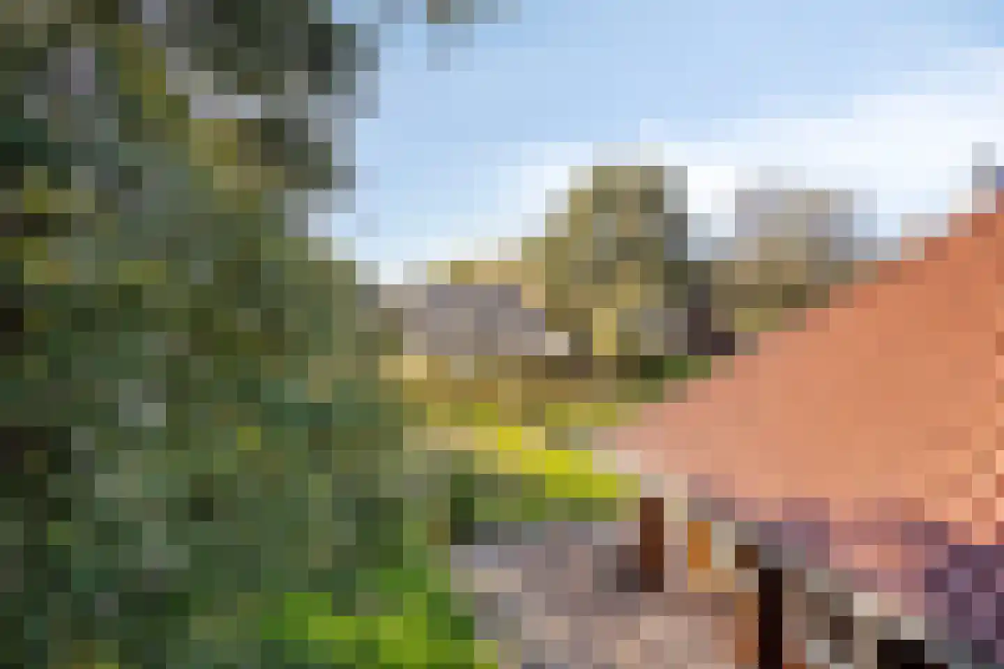 It Bjirkenbosk 5 Balk thumbnail 37