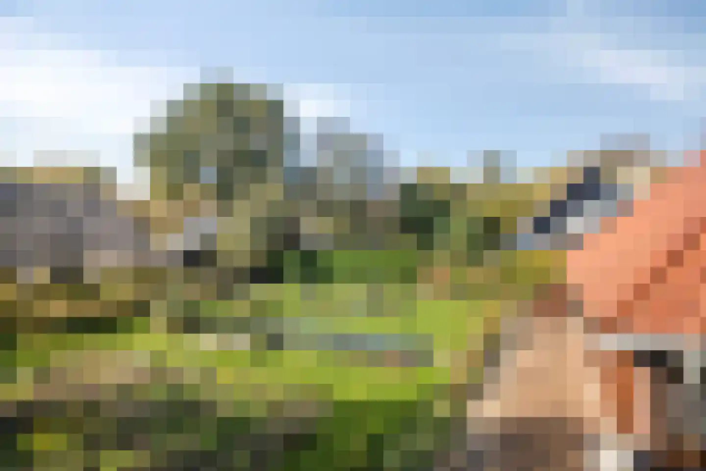 It Bjirkenbosk 5 Balk thumbnail 38