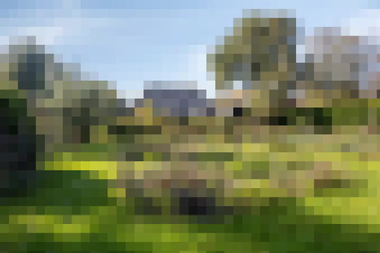 It Bjirkenbosk 5 Balk thumbnail 39