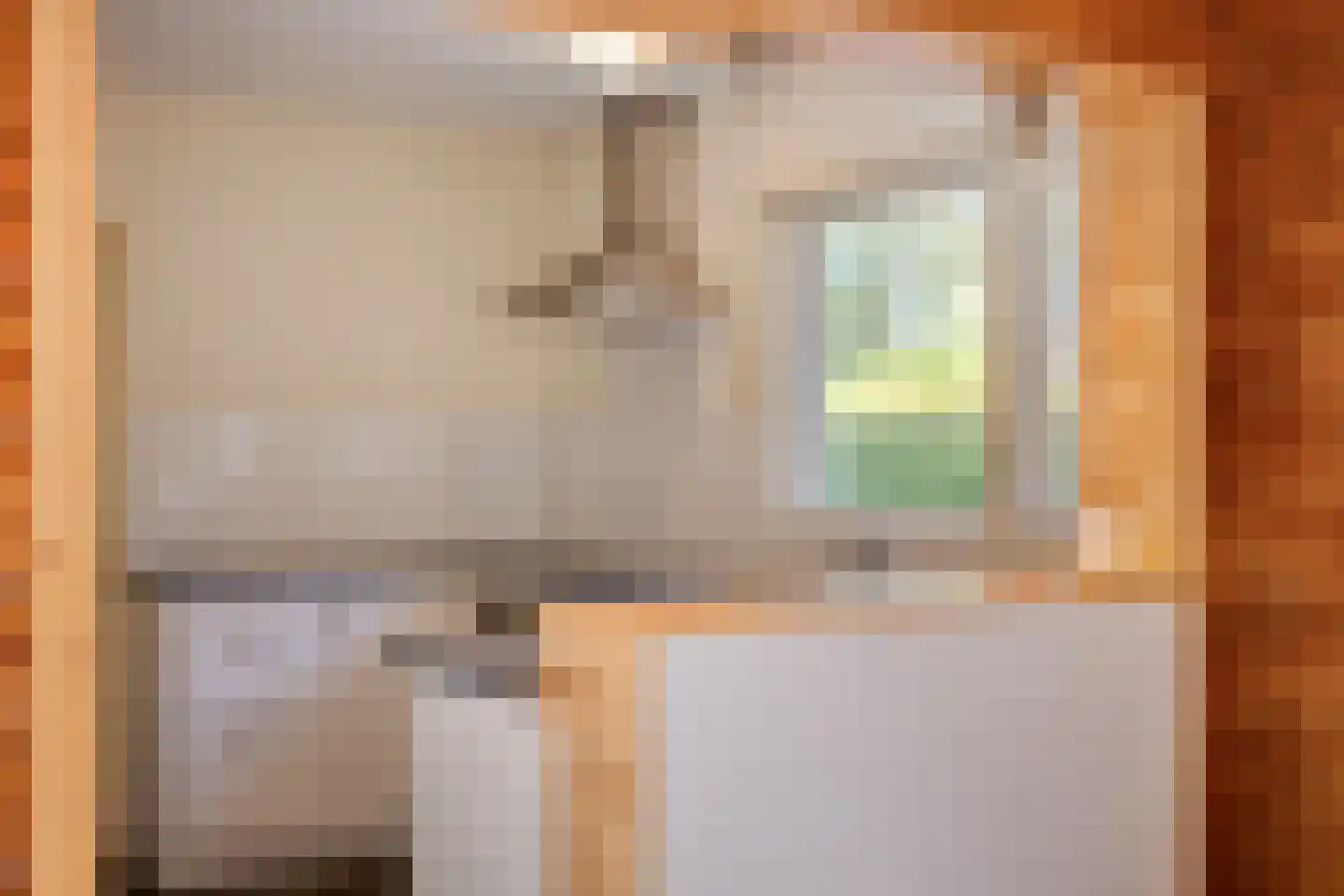 It Bjirkenbosk 5 Balk thumbnail 4