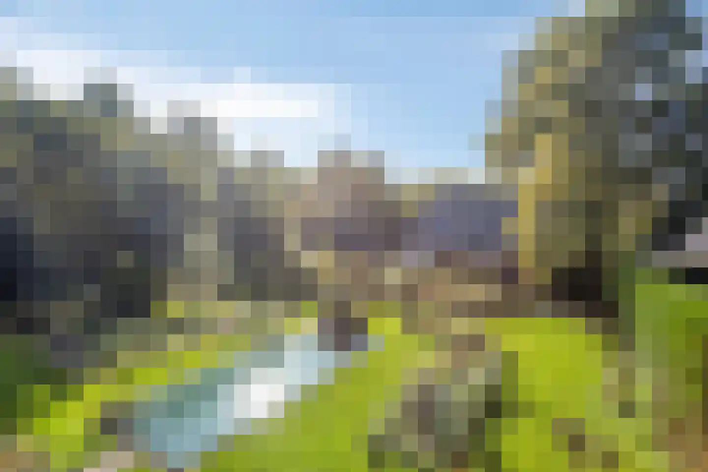 It Bjirkenbosk 5 Balk thumbnail 40