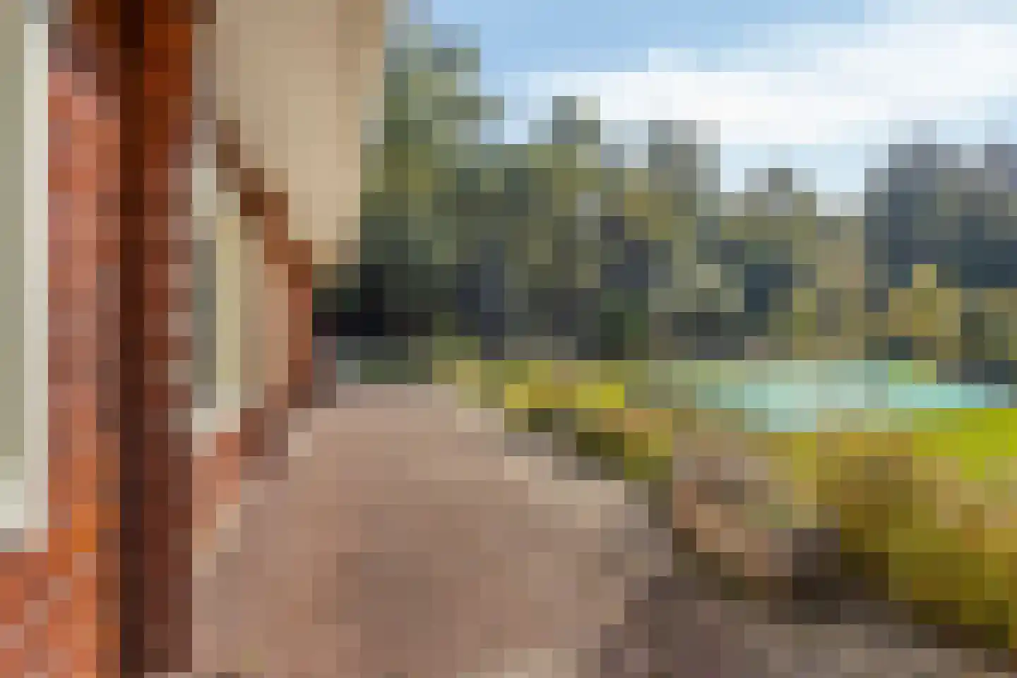 It Bjirkenbosk 5 Balk thumbnail 42