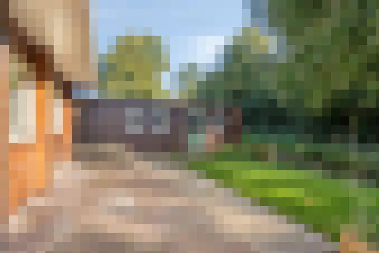 It Bjirkenbosk 5 Balk thumbnail 44