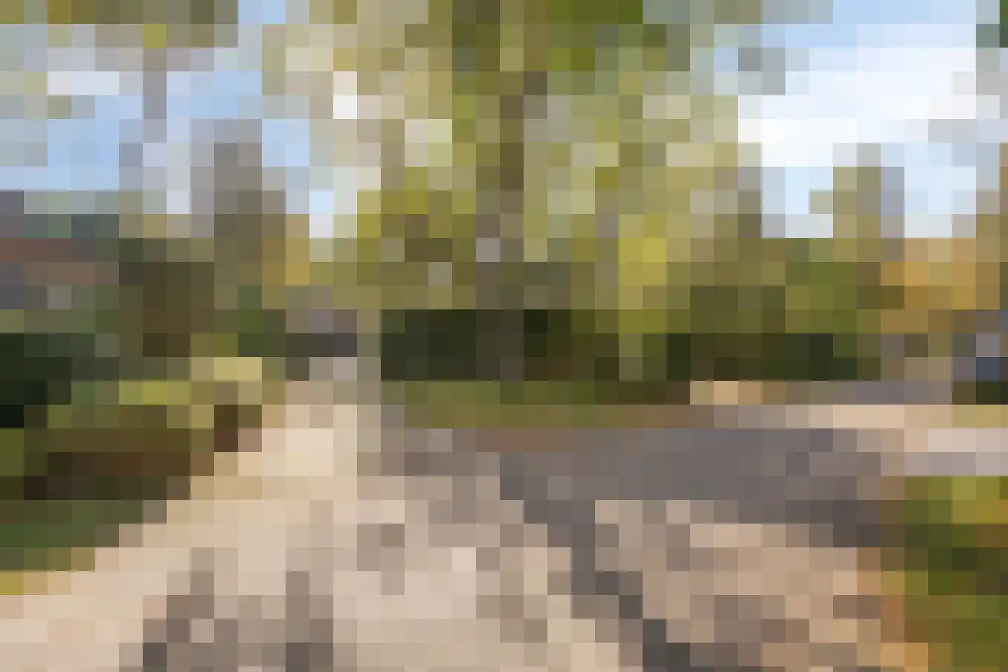 It Bjirkenbosk 5 Balk thumbnail 45