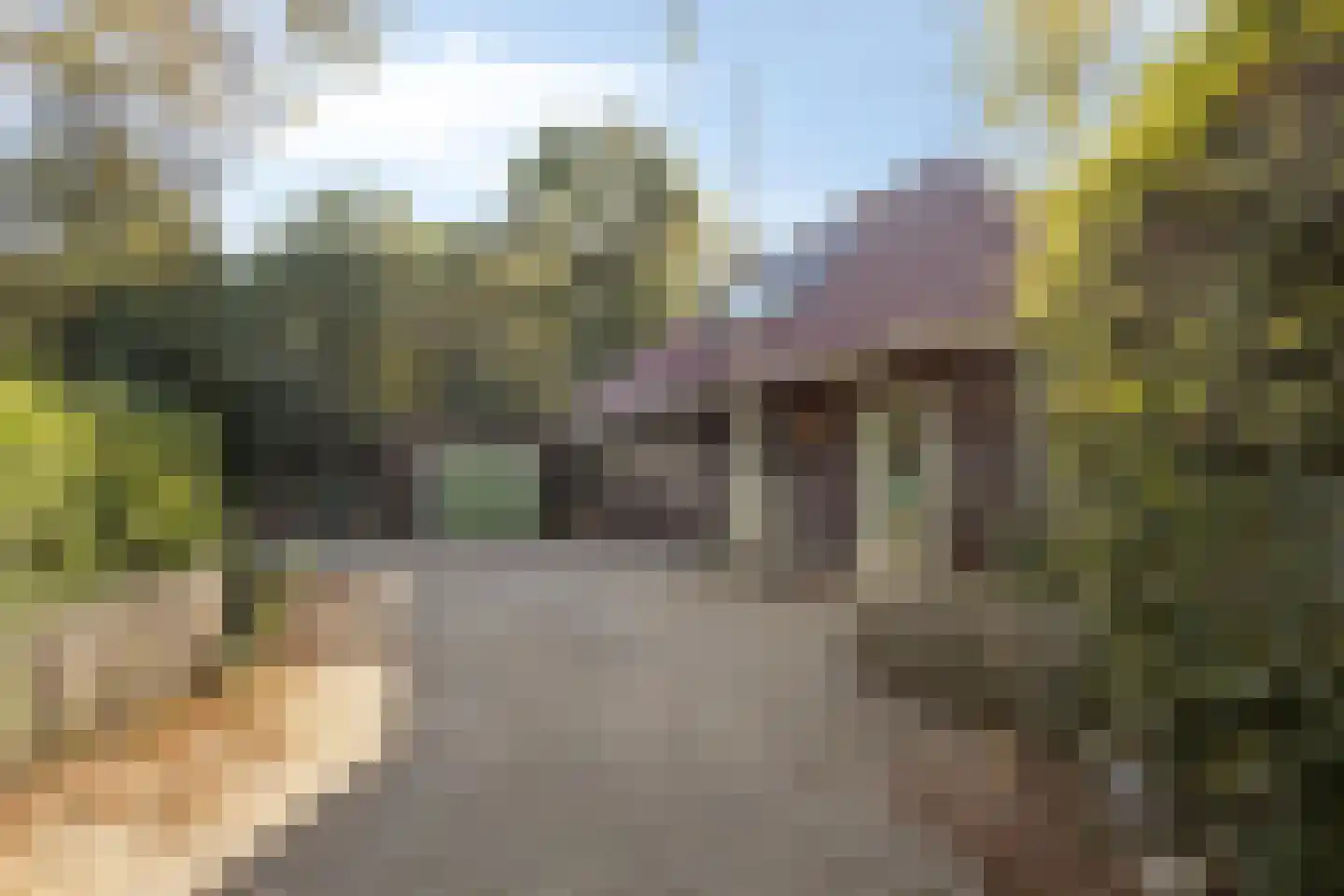 It Bjirkenbosk 5 Balk thumbnail 47