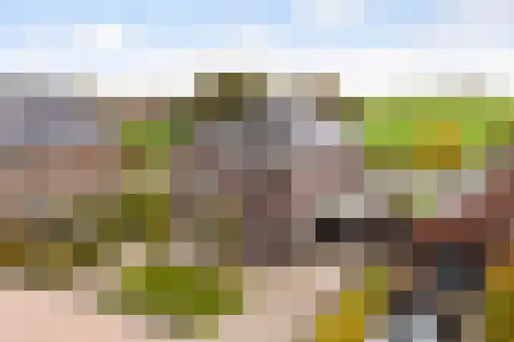 It Blauleech 21 Wirdum