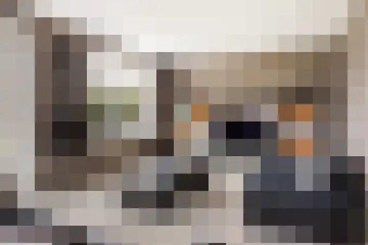 It Blauleech 21 Wirdum thumbnail 13