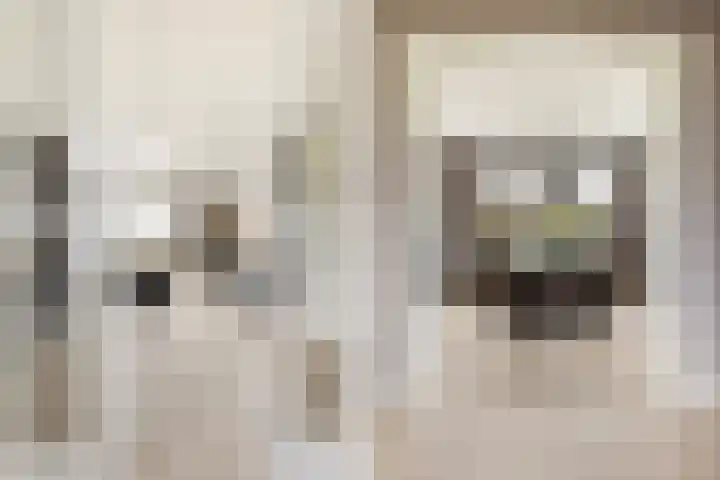 It Blauleech 21 Wirdum thumbnail 18