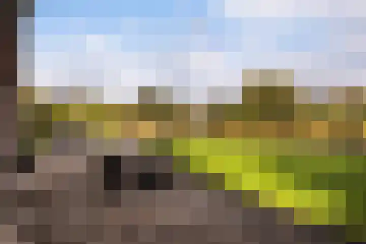It Blauleech 21 Wirdum thumbnail 26