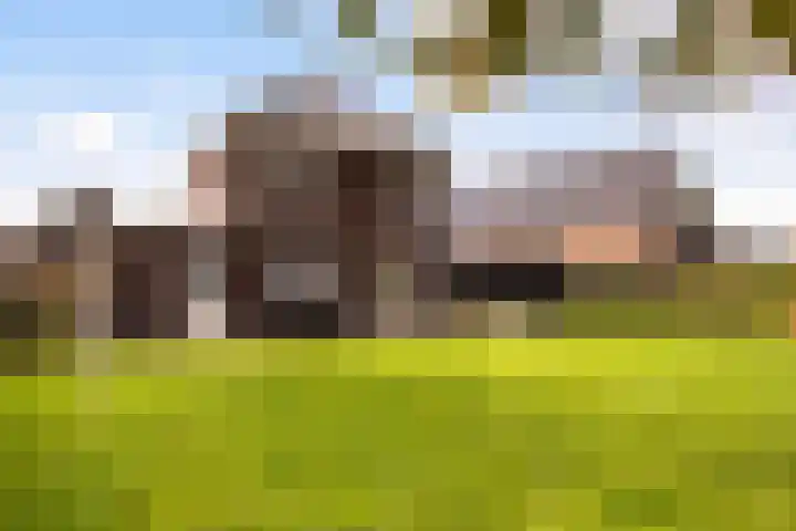 It Blauleech 21 Wirdum thumbnail 27