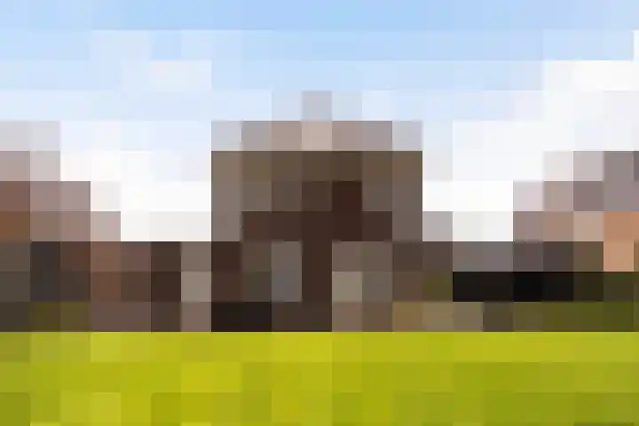 It Blauleech 21 Wirdum thumbnail 28
