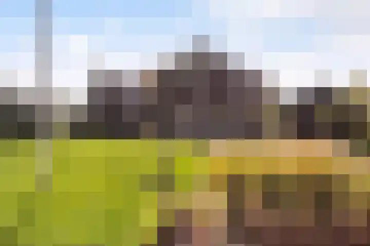 It Blauleech 21 Wirdum thumbnail 29