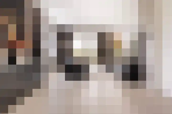 It Blauleech 21 Wirdum foto 3